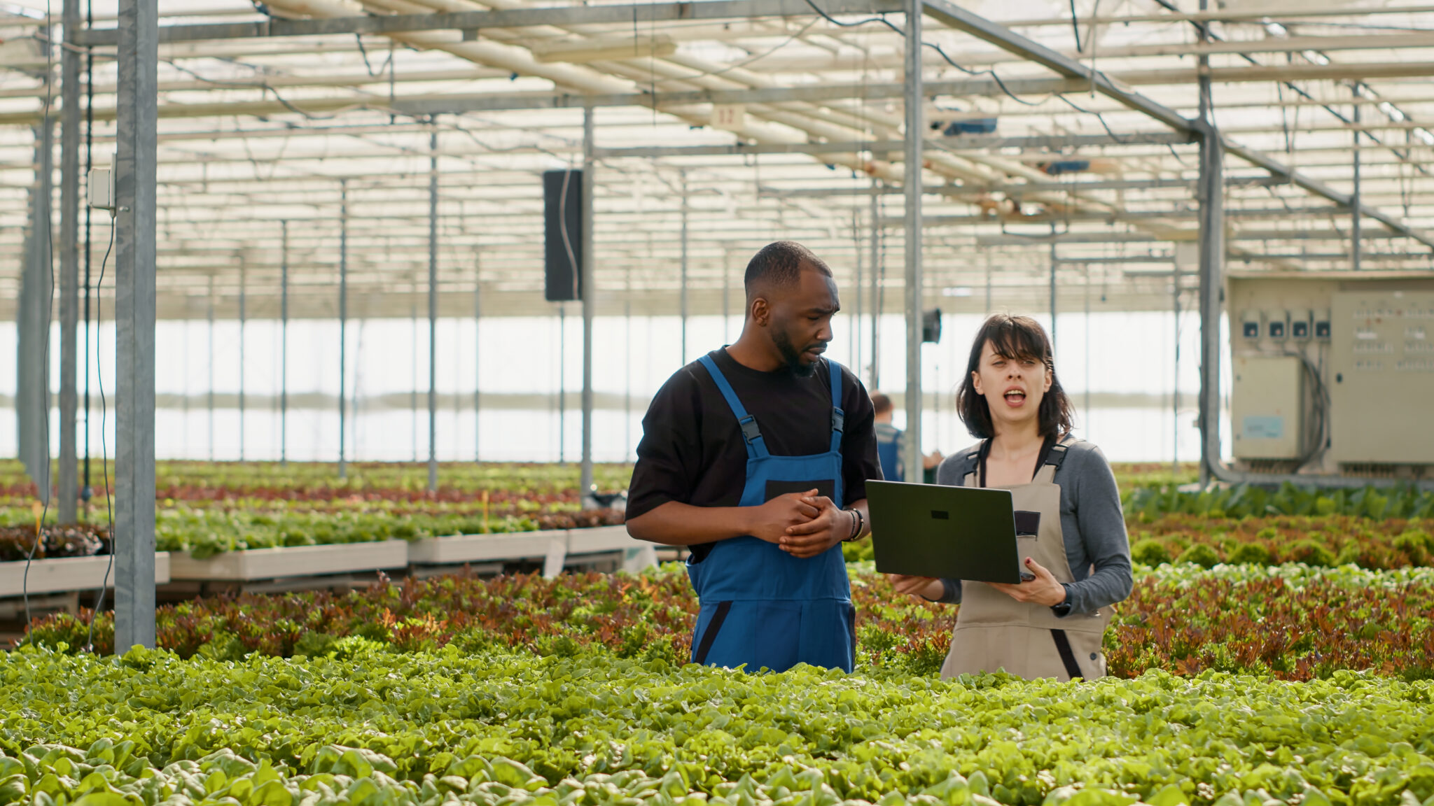 diverse organic farm workers using laptop to manag 2023 11 27 05 15 51 utc